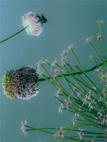 Klärendes Mizellenwasser